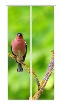 Der Stille Flächenvorhang 2teilige mit tollem Vogelmotiv - Singvogel